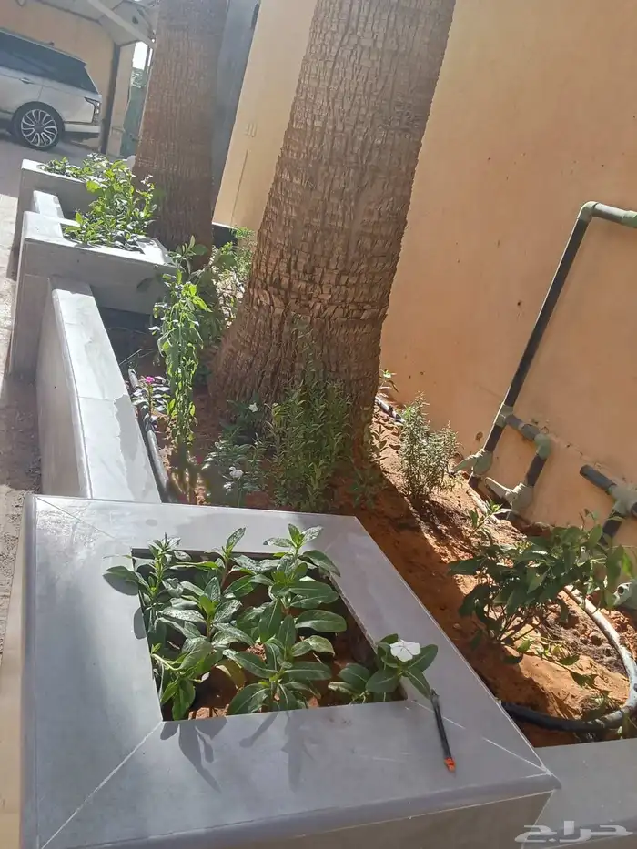 زراعه ولاندسكيب 1