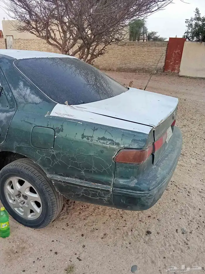 قياء بالحارث 3