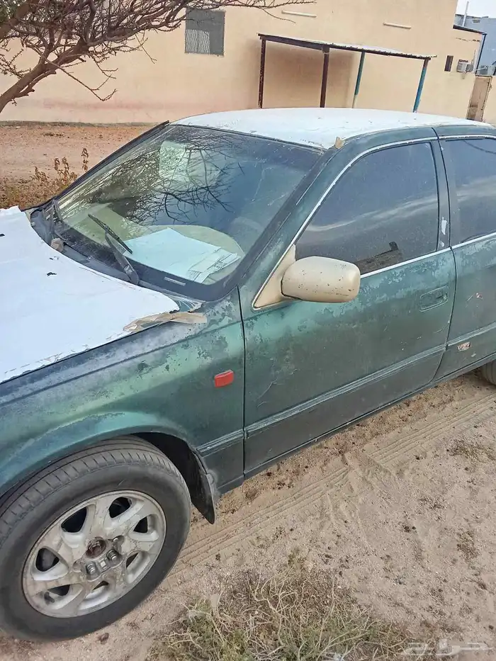 قياء بالحارث 2