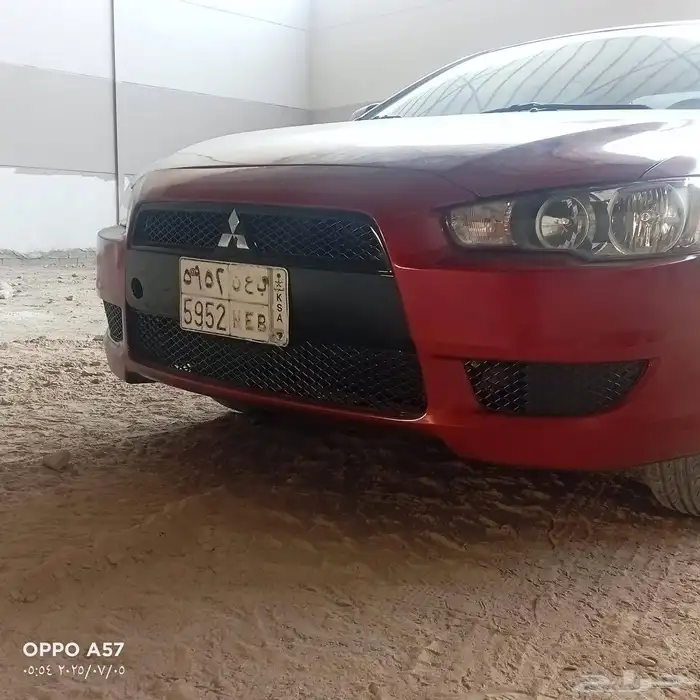 لنسر شارك 2011 0