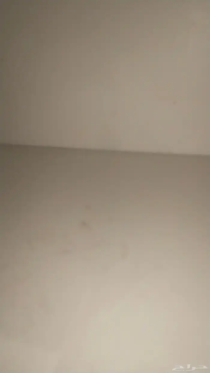 ابحث عن شقة صغيره ويكون اجارها معقول 0