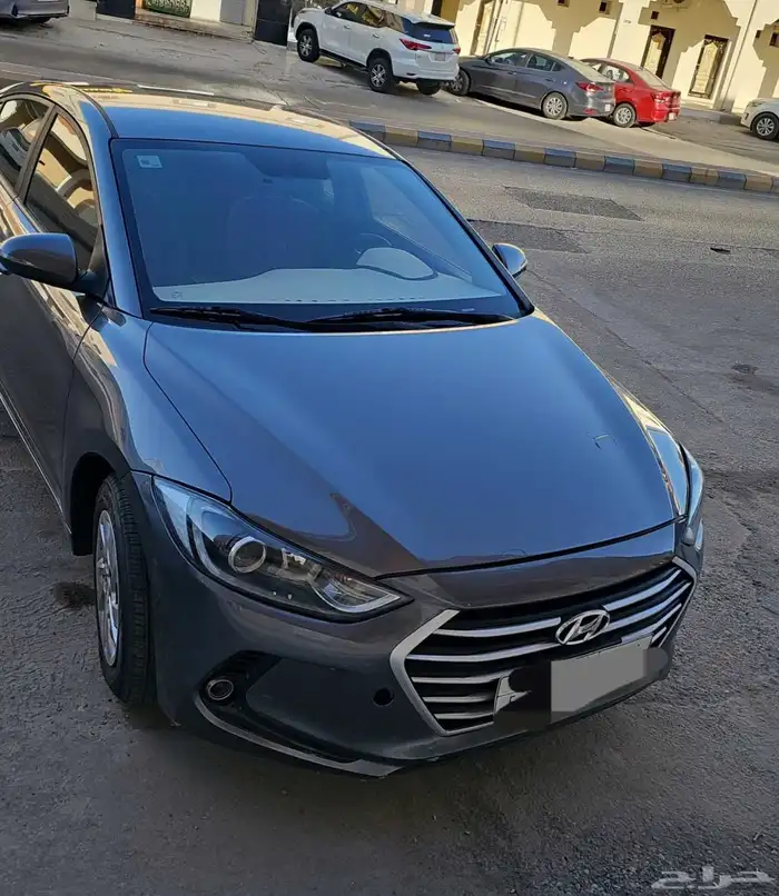 النتراء 2017 9