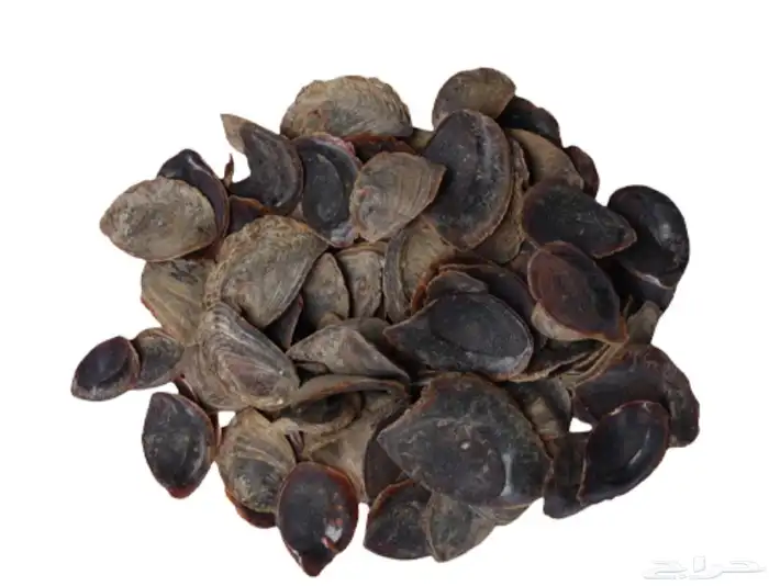 ظفر الطيب الحافور 1