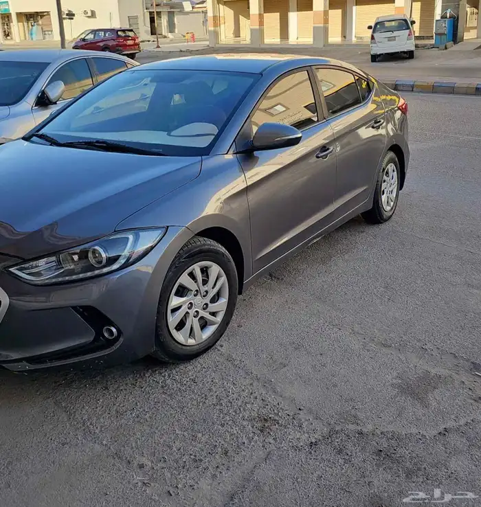 النتراء 2017 10