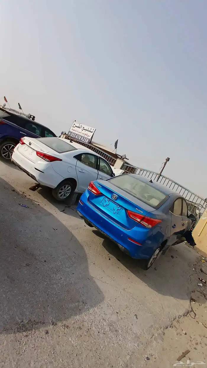 شانجان السفن 2023 1