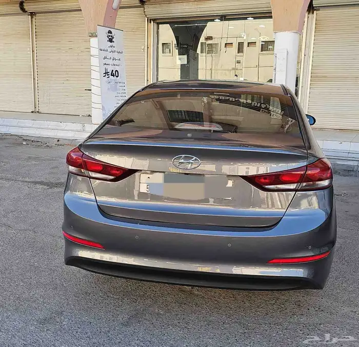 النتراء 2017 8