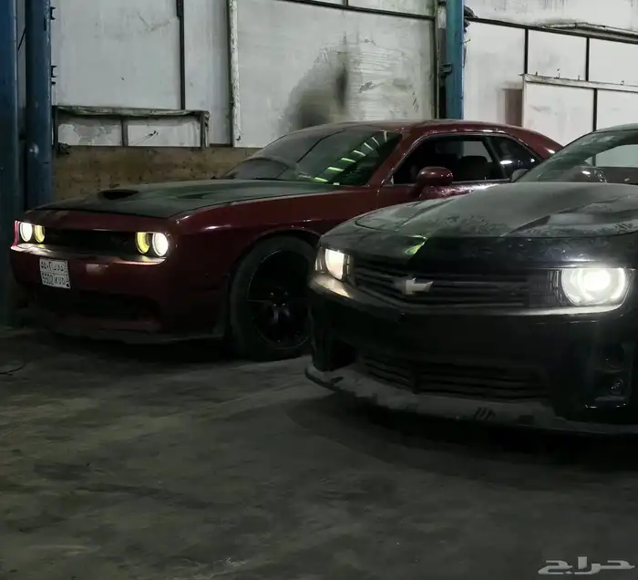 قيرات امريكي 0