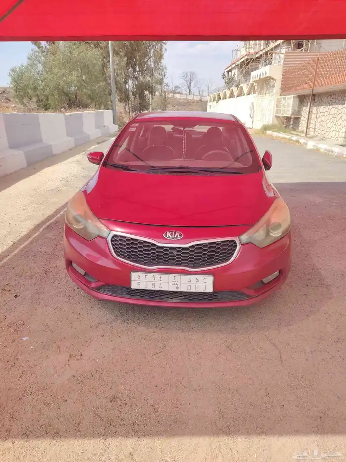 جده حي النعيم 2