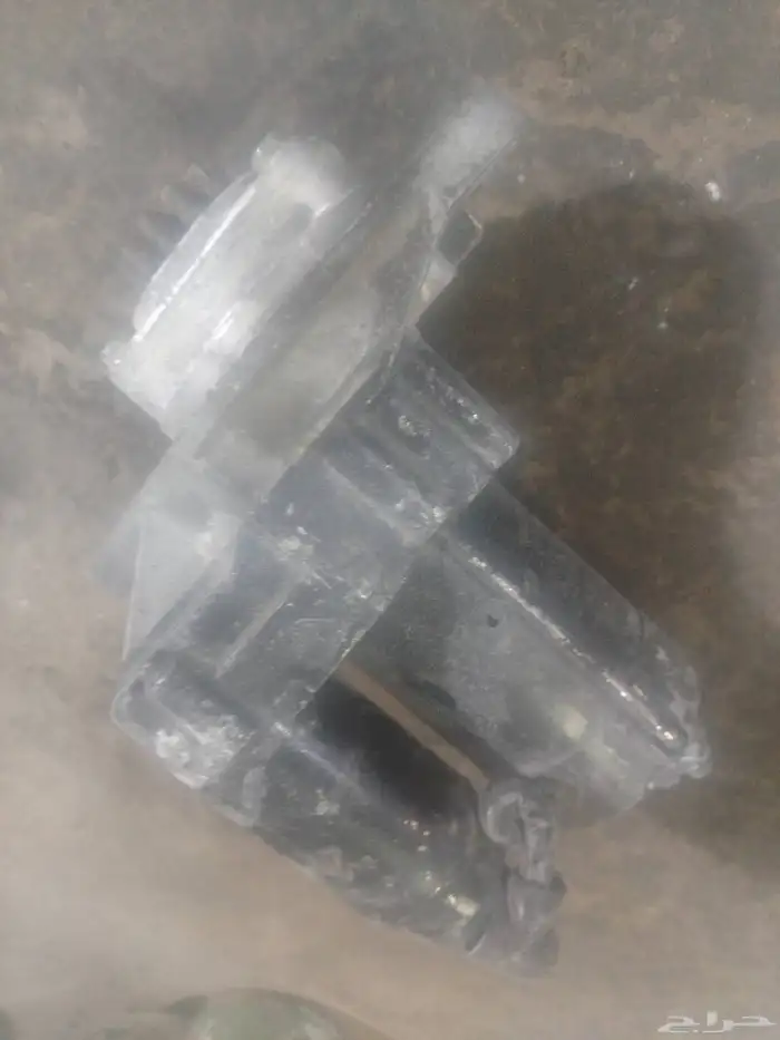 سلف دينا اصلي وكاله 0