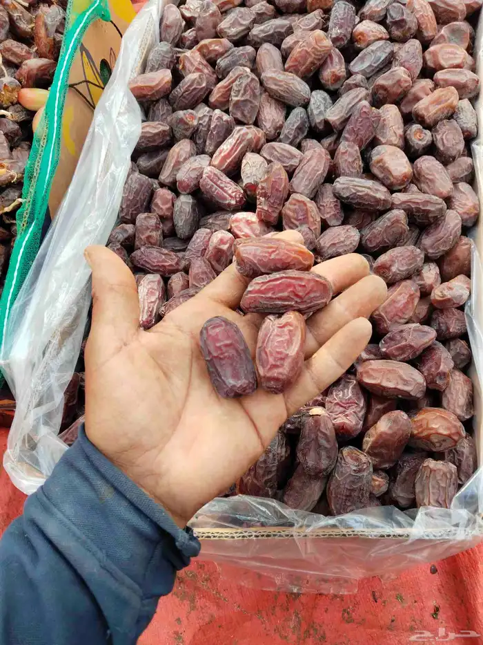 خضري للبيع كميه كبيره وخلاص 1