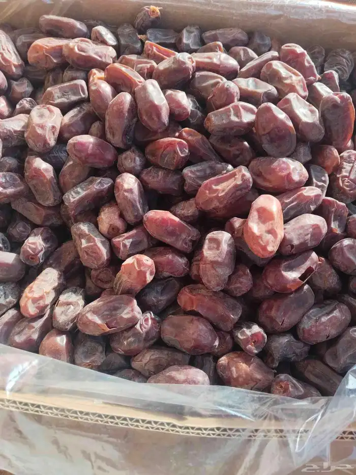 خضري للبيع كميه كبيره وخلاص 2