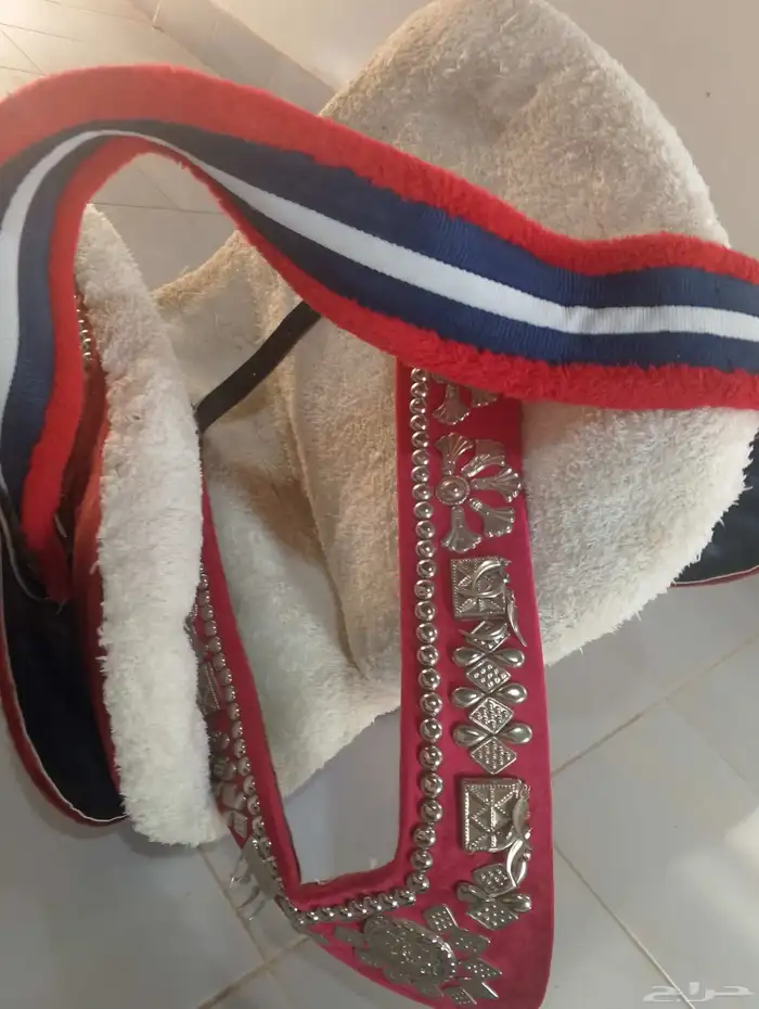 الطايف 4