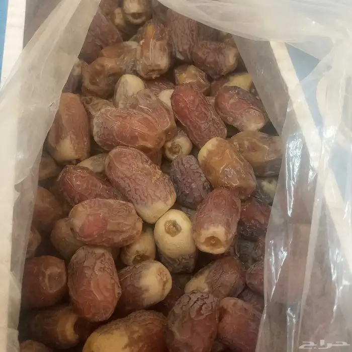 تمورللبيع 2