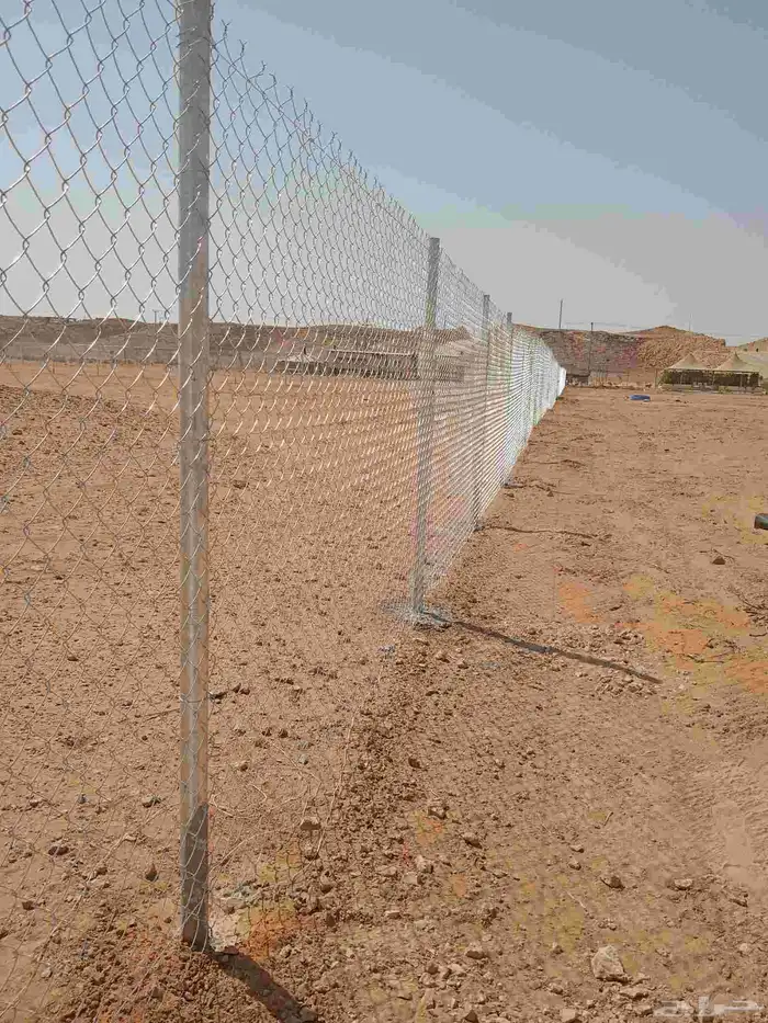 مقول شبوك 1