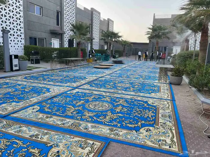 تاجير زل الازرق وكنب 6