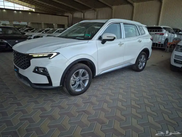 فورد تيرتوري تريند 2025 0