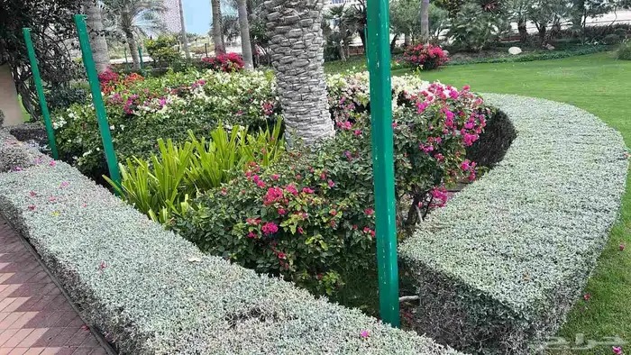 عمل وتنفيذ الحدائق باسلوب مميز 5