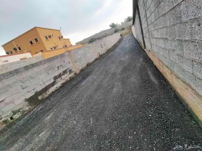 محايل عسير 5