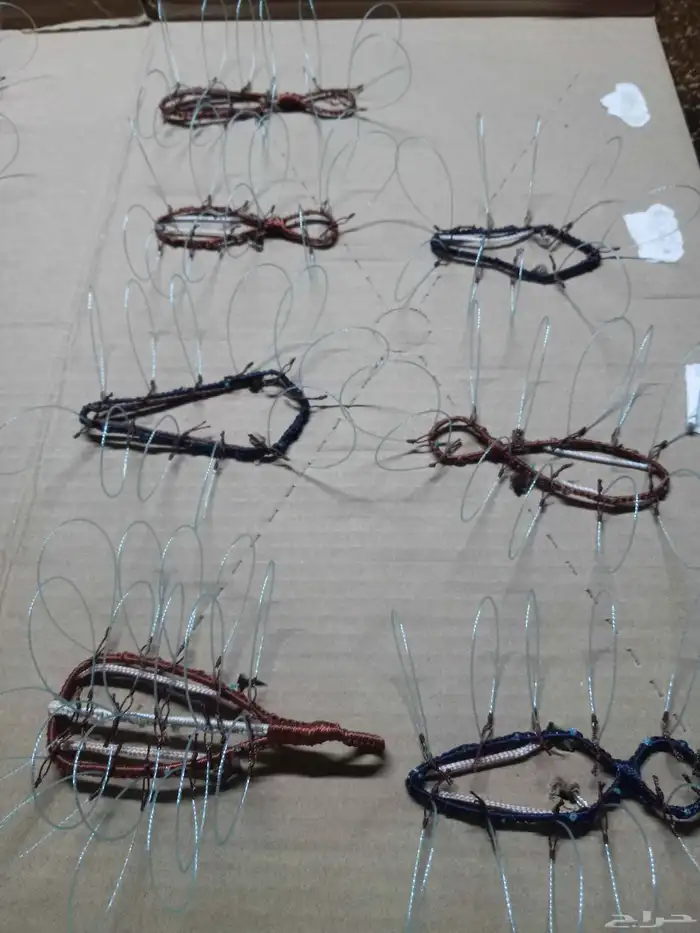 شبك لطرح الصقور 0