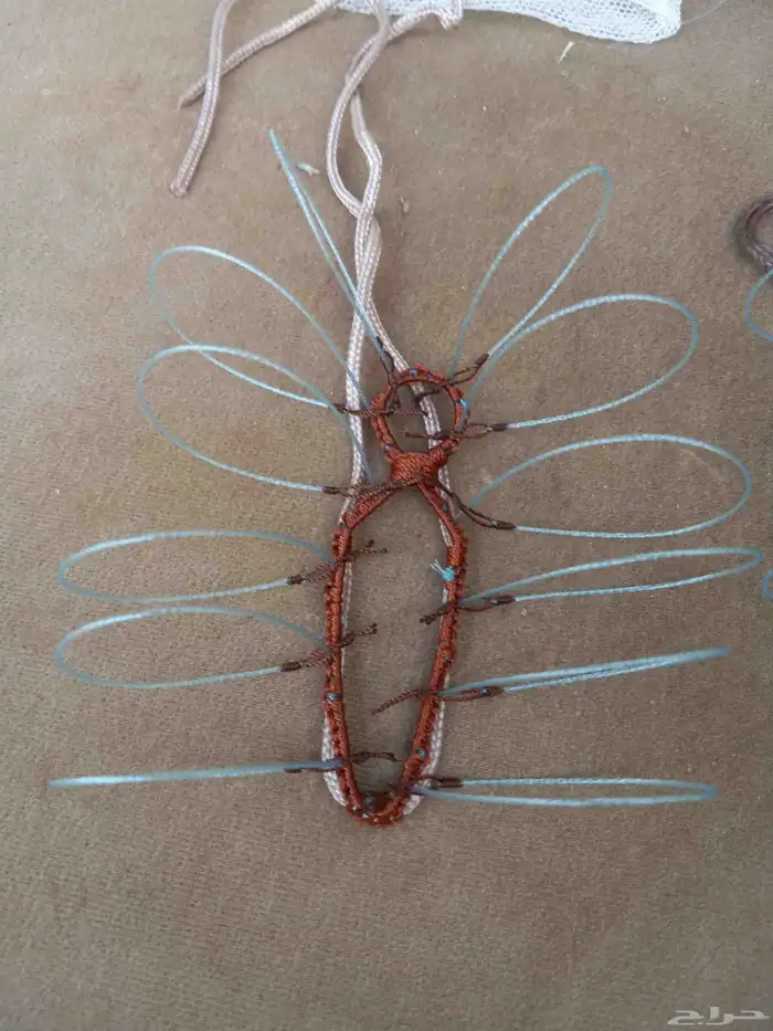 شبك لطرح الصقور 5