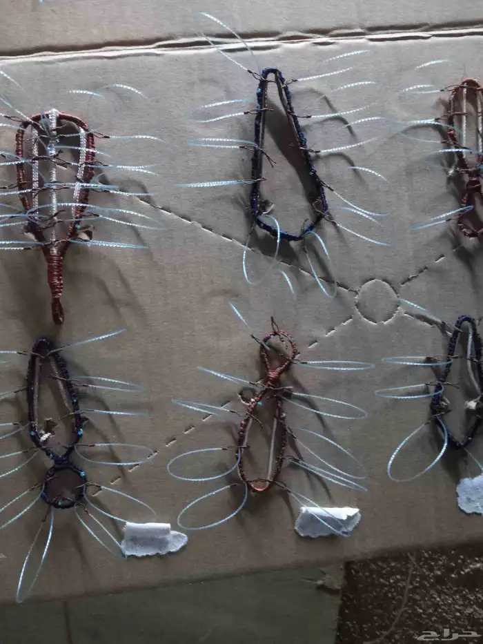 شبك لطرح الصقور 3