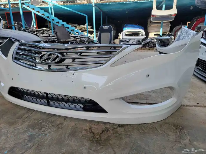 صدام امامي ازيرا 2013 0