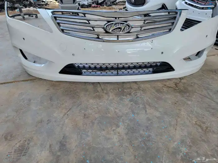 صدام امامي ازيرا 2013 1