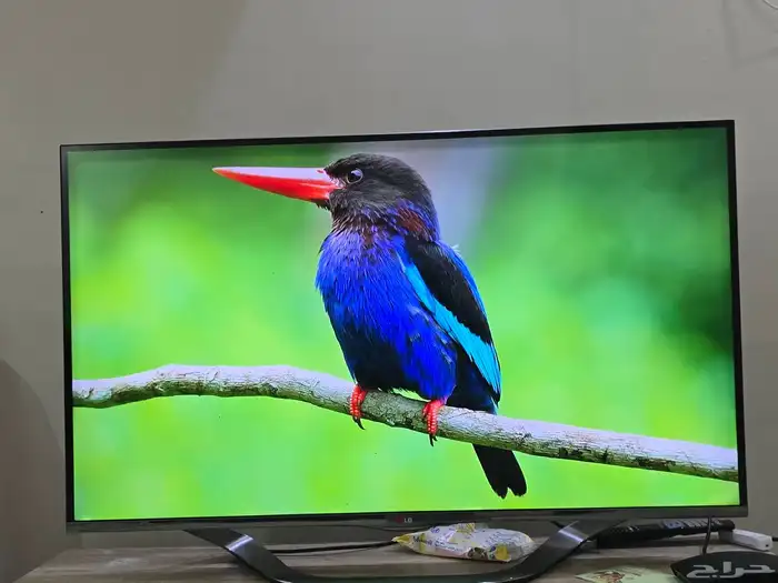 شاشة LG سمارت 50 بوصه 0