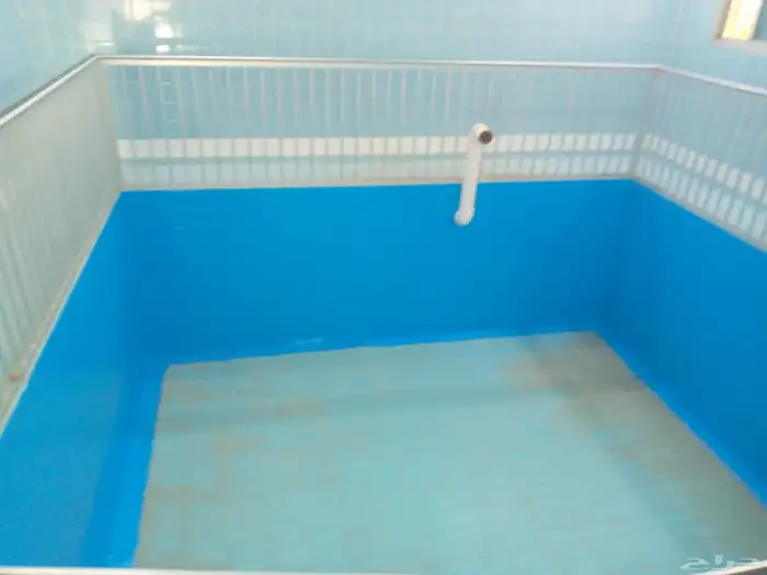 الاحساء المبرز 4