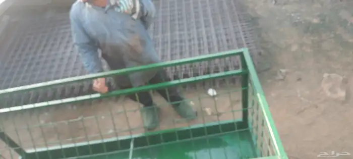 ملف غنم 2 70 3