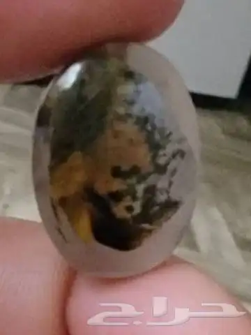 حجر عقيق مصور نوادر 2
