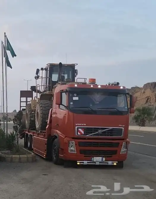 لوبد فلفو سكس للبيع 1