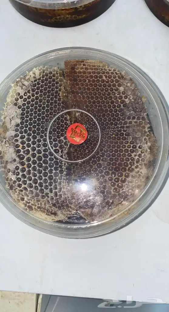 عسل طبيعي بلدي متنوع 8