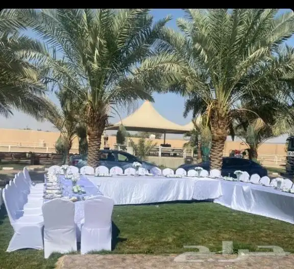 تاجير كنب ابيض كنب بيج كراسي طاولات جلسات شعبيه كوش 3