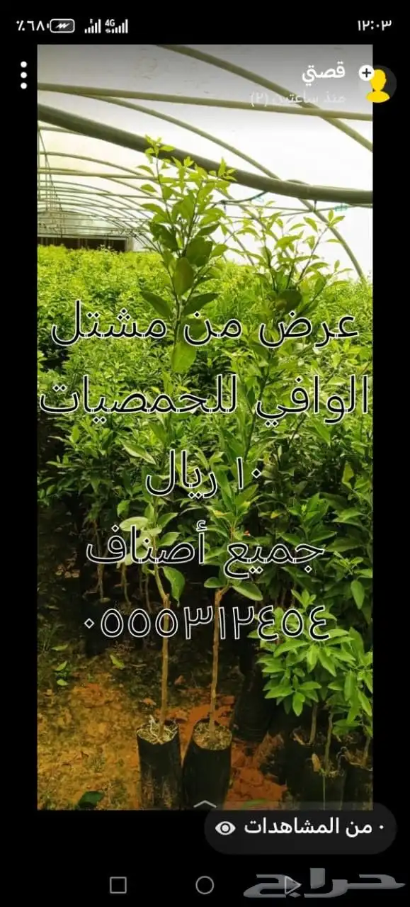 مشتل الوافي 0