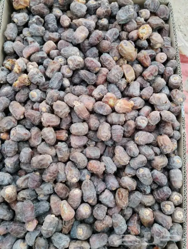 تمور مشكلات وعجاين 2