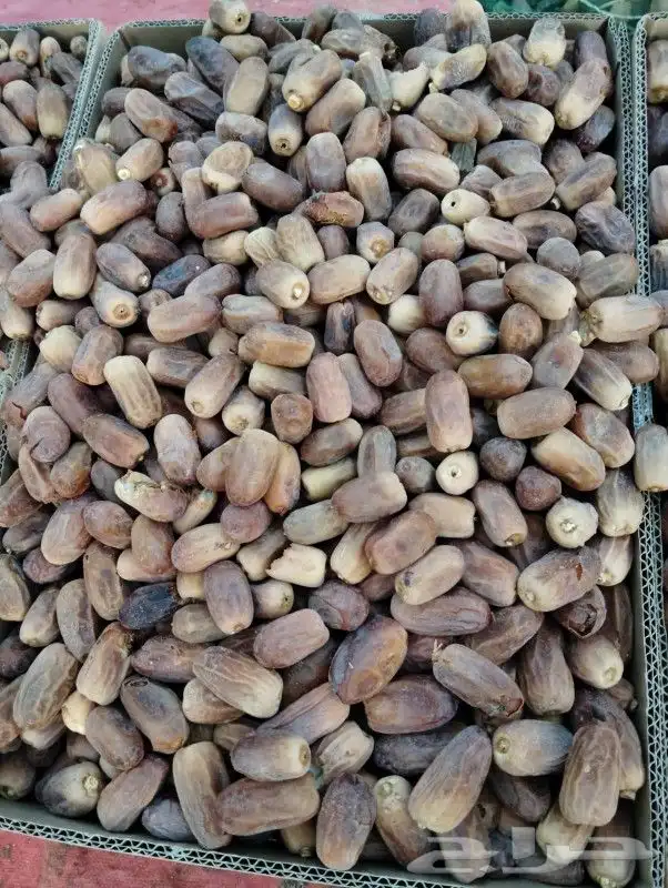 تمور مشكلات وعجاين 1