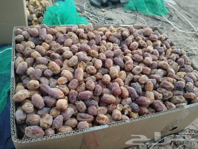 تمور مشكلات وعجاين 9