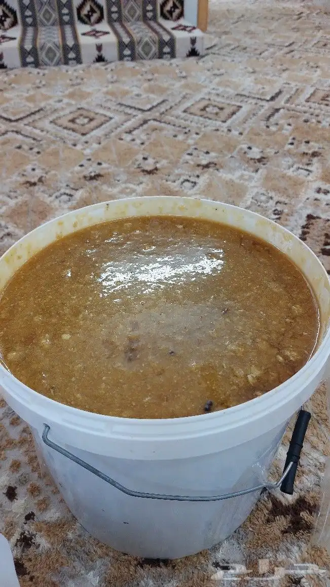 عسل سدر بلدي 0