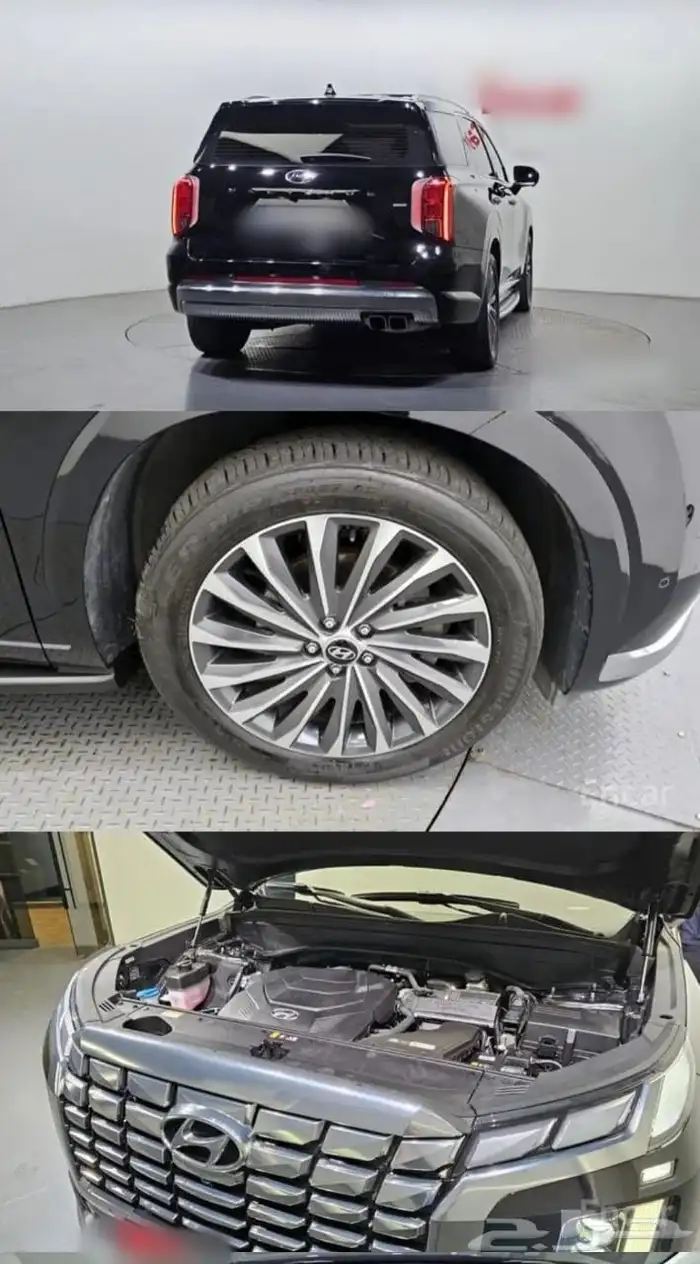 بلاسيد 2023 5