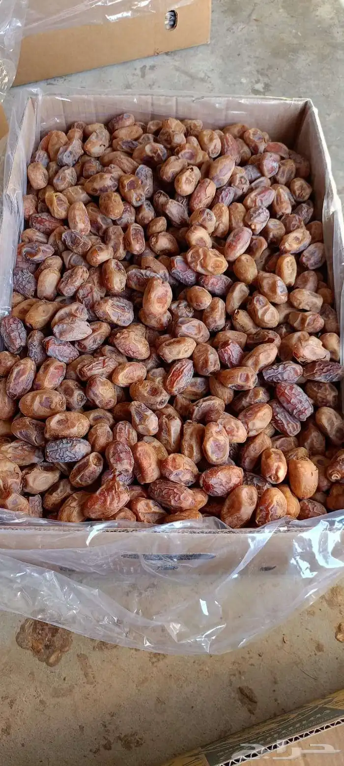 خلاص طيب 1