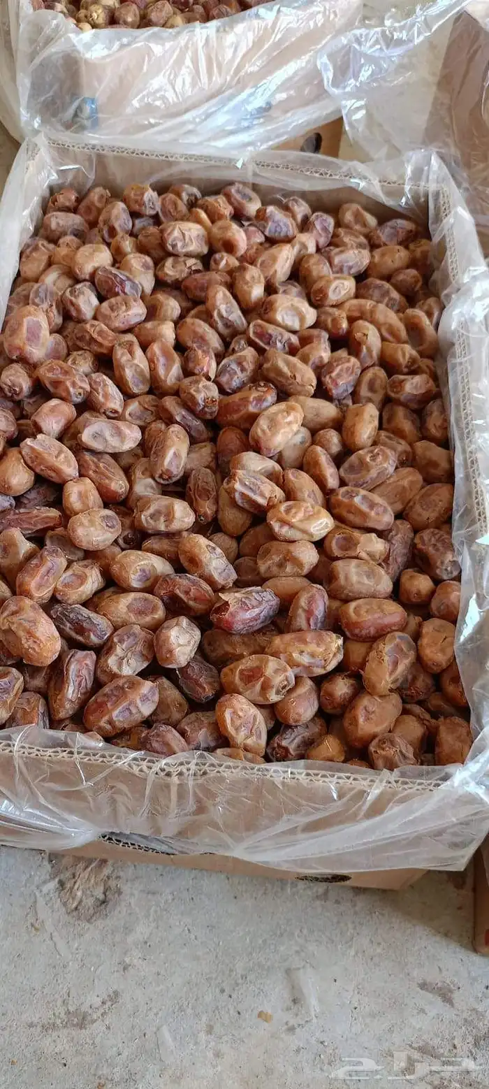 خلاص طيب 3