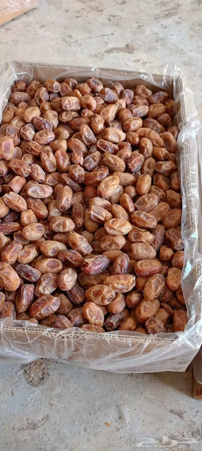 خلاص طيب 0