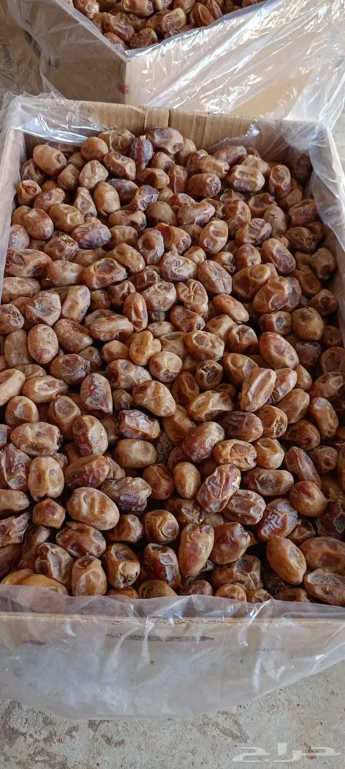 خلاص طيب 2