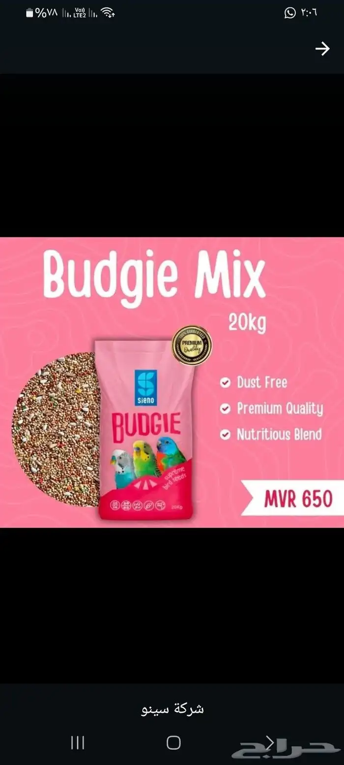 علف طيور الحب و زيبرا فيتامينات 0