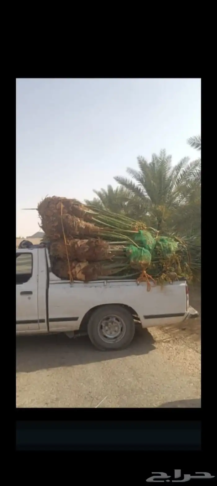 السلام عليكم ورحمة الله وبركاته 0