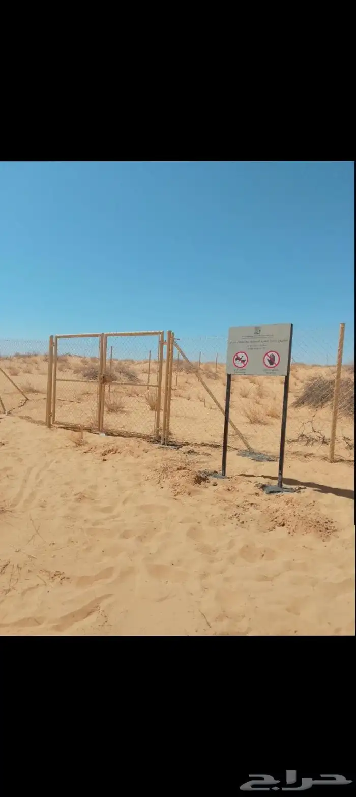 شبوك 6