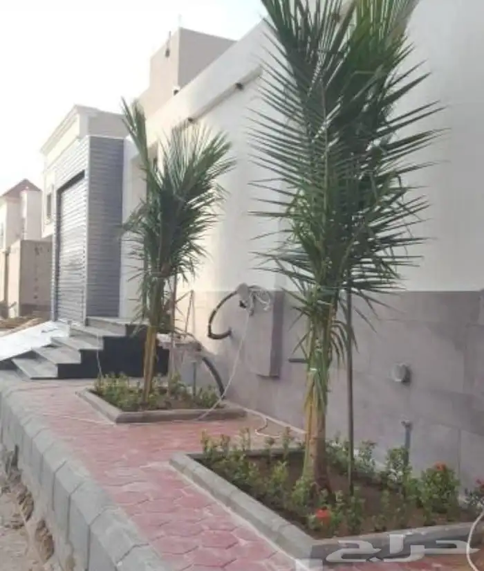 تنسيق حدائق 0