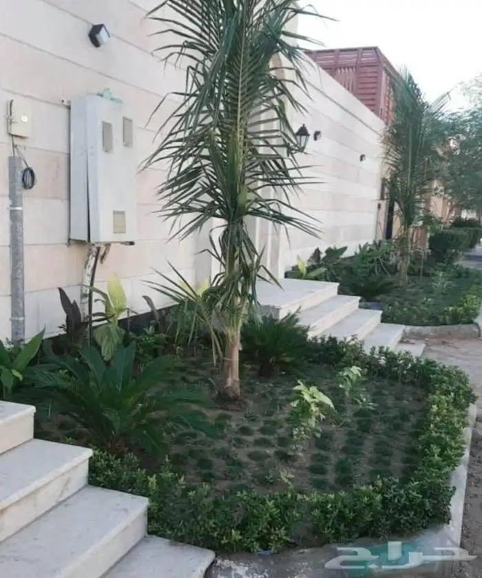 تنسيق حدائق 2