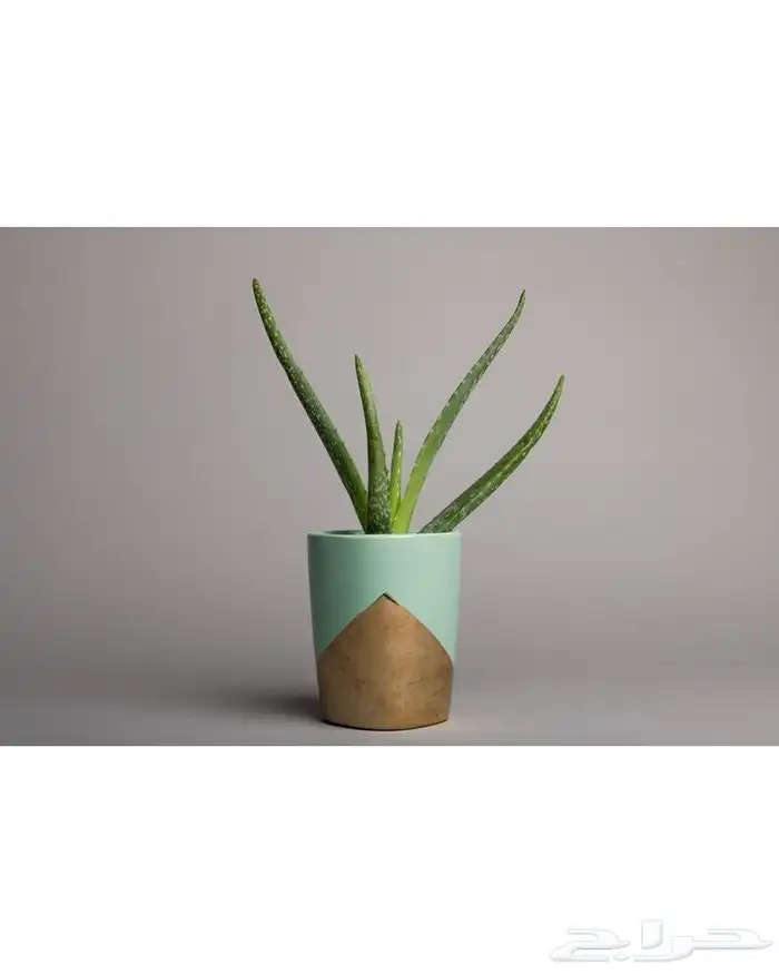 للبيع معدات تصوير كاملة استعمال مره واحده فقط 9